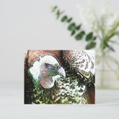 猛禽鳥類 ポストカード (スタンド正面)