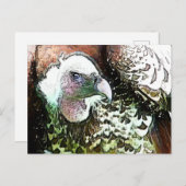 猛禽鳥類 ポストカード (正面/裏面)