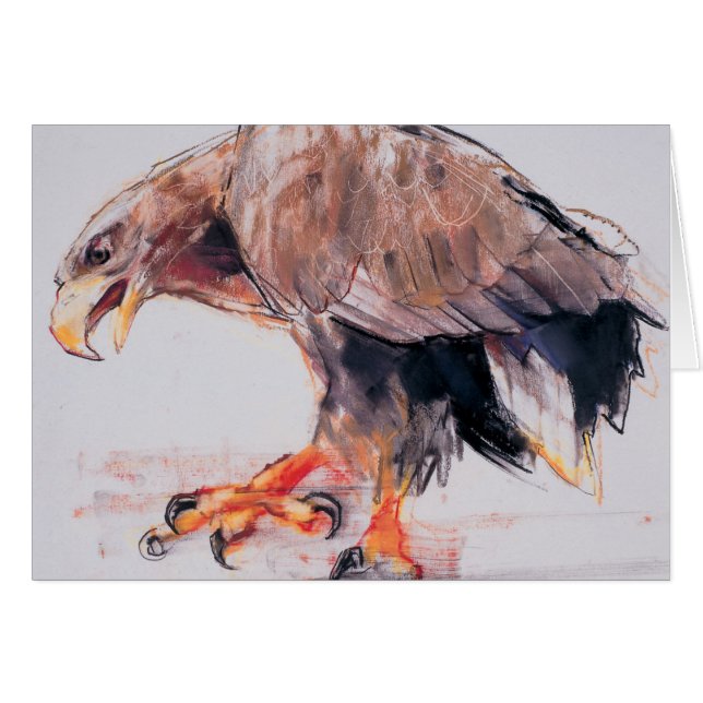 猛禽2001年 (正面横)