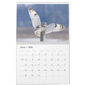 猛禽 カレンダー (3月 2026)