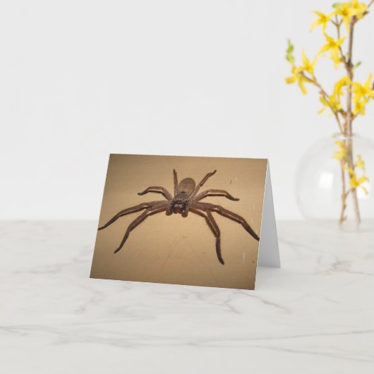 猟師のくも カード (黄色い花)