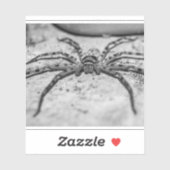 猟師クモ シール (シート)