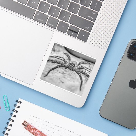 猟師クモ シール (ノートパソコンとiPhone)