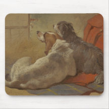 猟犬と髭のある子犬（2匹の犬）（動物）