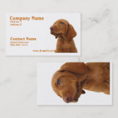 猟犬の名刺 名刺 (正面/裏面)