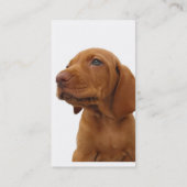 猟犬の名刺 名刺 (裏面)