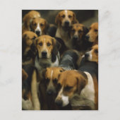 猟用フォックスハウンド、ゴールウェイ・ブレーザーズ、アイルランド ポストカード (正面)