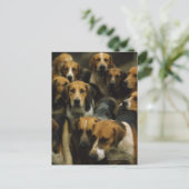 猟用フォックスハウンド、ゴールウェイ・ブレーザーズ、アイルランド ポストカード (スタンド正面)