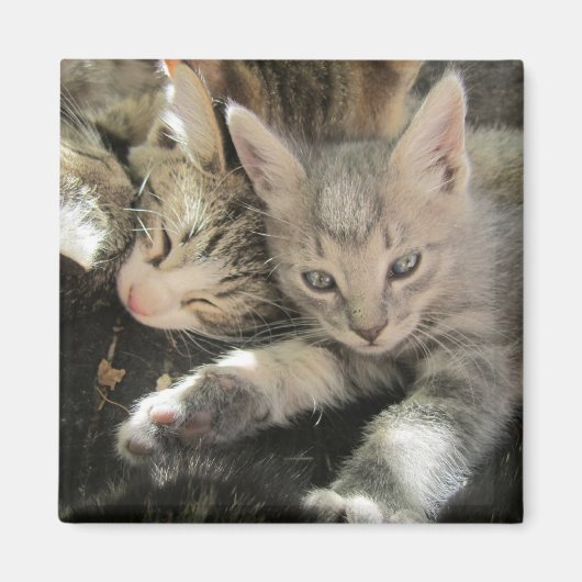 猪木子天 マグネット (正面)