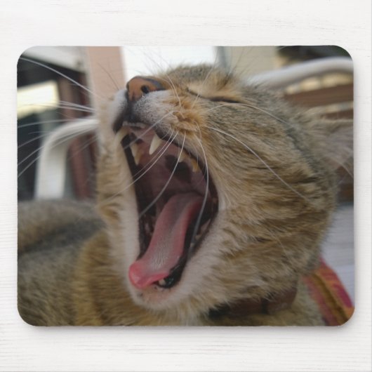 猫あくびをする マウスパッド (正面)