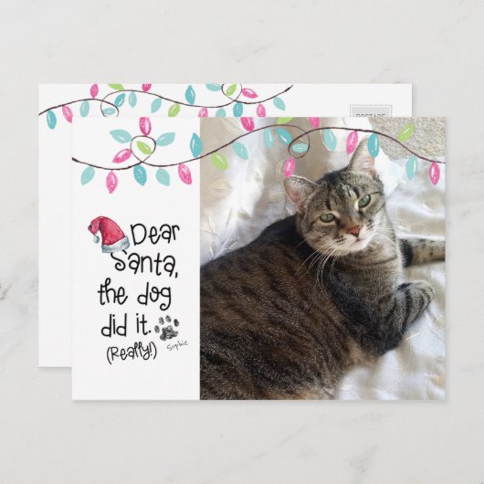 猫いけなサおもしろいタ親愛手紙の写真猫の名前 シーズンポストカード (正面/裏面)