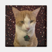 猫いけな マグネット (正面)