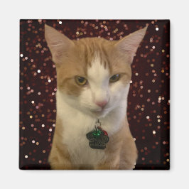 猫いけな マグネット