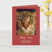 猫おっちょこちょいの「ごめんなさい」 カード (黄色い花)