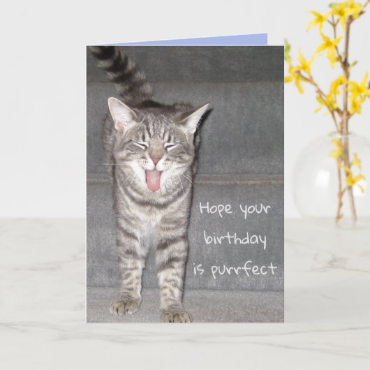 猫おもしろいあくびする誕生日 カード (黄色い花)
