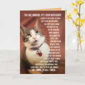 猫おもしろいから10代の若者への挨拶 カード (黄色い花)