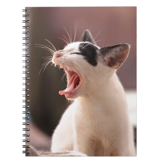 猫おもしろいがあくびをする ノートブック (正面)
