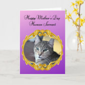 猫おもしろいが母の日を治める カード (黄色い花)