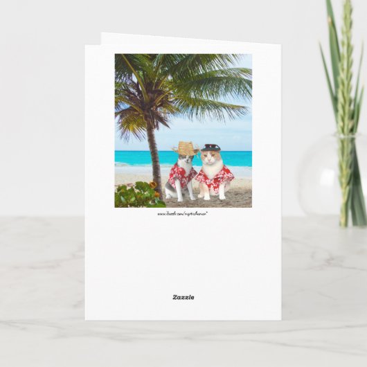 猫おもしろいとおもしろい愛好の息子と父の日 カード (裏面)