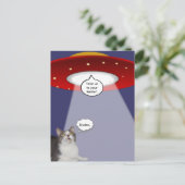 猫おもしろいと宇宙船 ポストカード (スタンド正面)