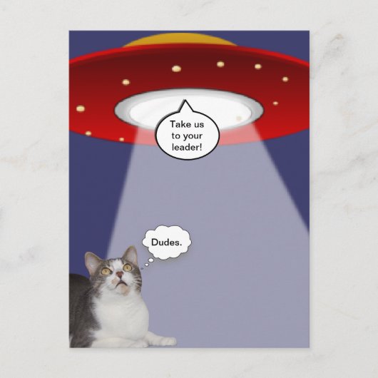 猫おもしろいと宇宙船 ポストカード (正面)