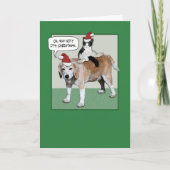 猫おもしろいと犬のクリスマス シーズンカード (正面)