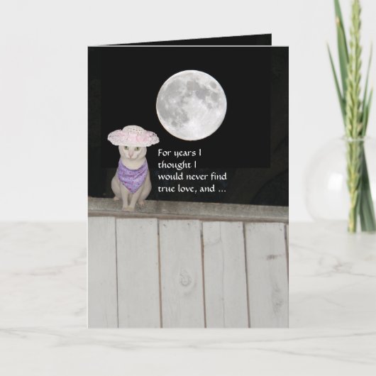 猫おもしろいのご主人記念日 カード (正面)