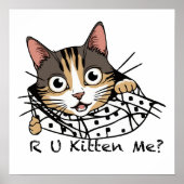 猫おもしろいのぞきステッカー – 私を引っ掛けてくれるの? ポスター (正面)