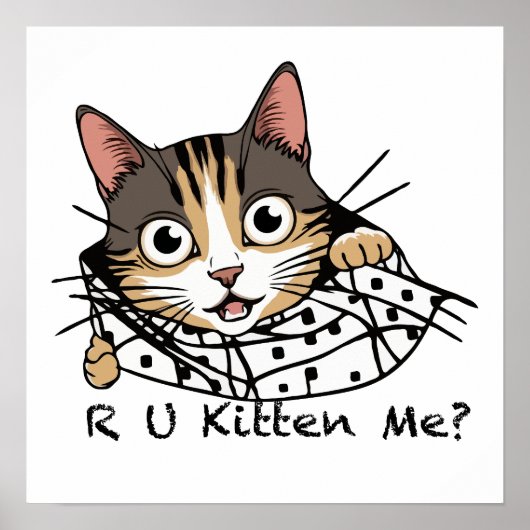 猫おもしろいのぞきステッカー – 私を引っ掛けてくれるの？ ポスター (正面)