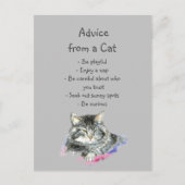 猫おもしろいのアニマル・ユーモアアドバイス ポストカード (正面)