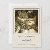 猫おもしろいのカスタム写真婚約パーティ 招待状 (正面)