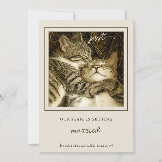 猫おもしろいのカスタム写真婚約パーティ 招待状 (正面)