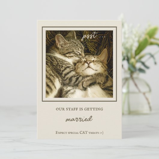 猫おもしろいのカスタム写真婚約パーティ 招待状 (スタンド正面)