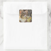 猫おもしろいのキャプション私はフワフワ スクエアシール (バッグ)