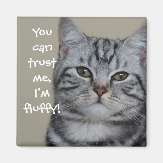 猫おもしろいのキャプション私はフワフワ マグネット (正面)