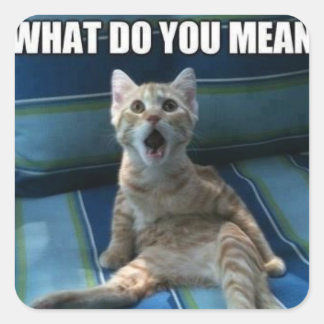 猫おもしろいのステッカー スクエアシール