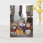 猫おもしろいのスペインの誕生日 カード (黄色い花)