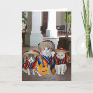 猫おもしろいのスペインの誕生日 カード