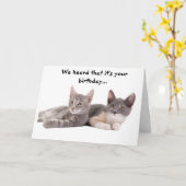 猫おもしろいの与え誕生日 カード (黄色い花)