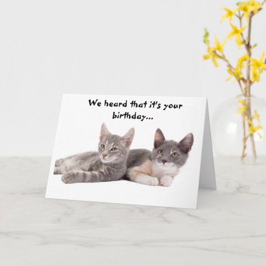 猫おもしろいの与え誕生日 カード (黄色い花)