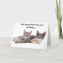 猫おもしろいの与え誕生日 カード