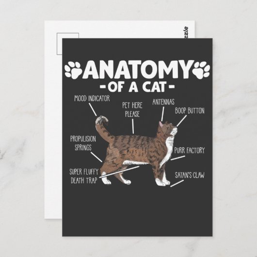 猫おもしろいの可愛い子猫恋人の飼い主の構造 ポストカード (正面/裏面)