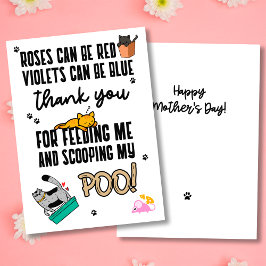 猫おもしろいの母の日が素敵|過去記事 シーズンカード