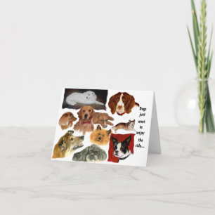 猫おもしろいの犬の習慣 カード