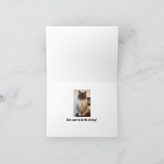 猫おもしろいの犬の習慣 カード (内部)