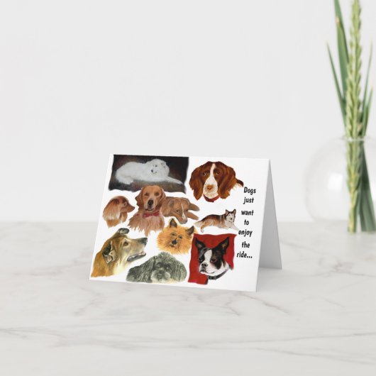 猫おもしろいの犬の習慣 カード (正面)