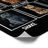 猫おもしろいの芸 ポスター (角)