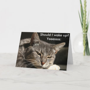 猫おもしろいの誕生日カード私は起きた方が良いですか? カード