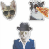 猫おもしろいの食べピザ シール (正面)