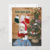 猫おもしろいの食べ物のサンタのおやつ シーズンポストカード (正面/裏面)